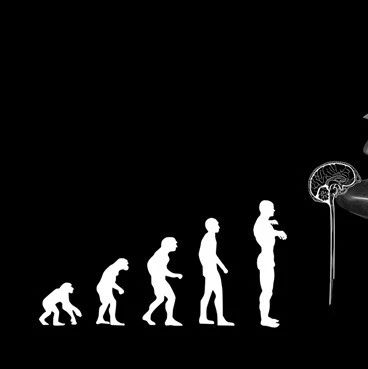 全基因组分析发现：人类